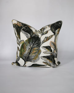 Tropicana Moody