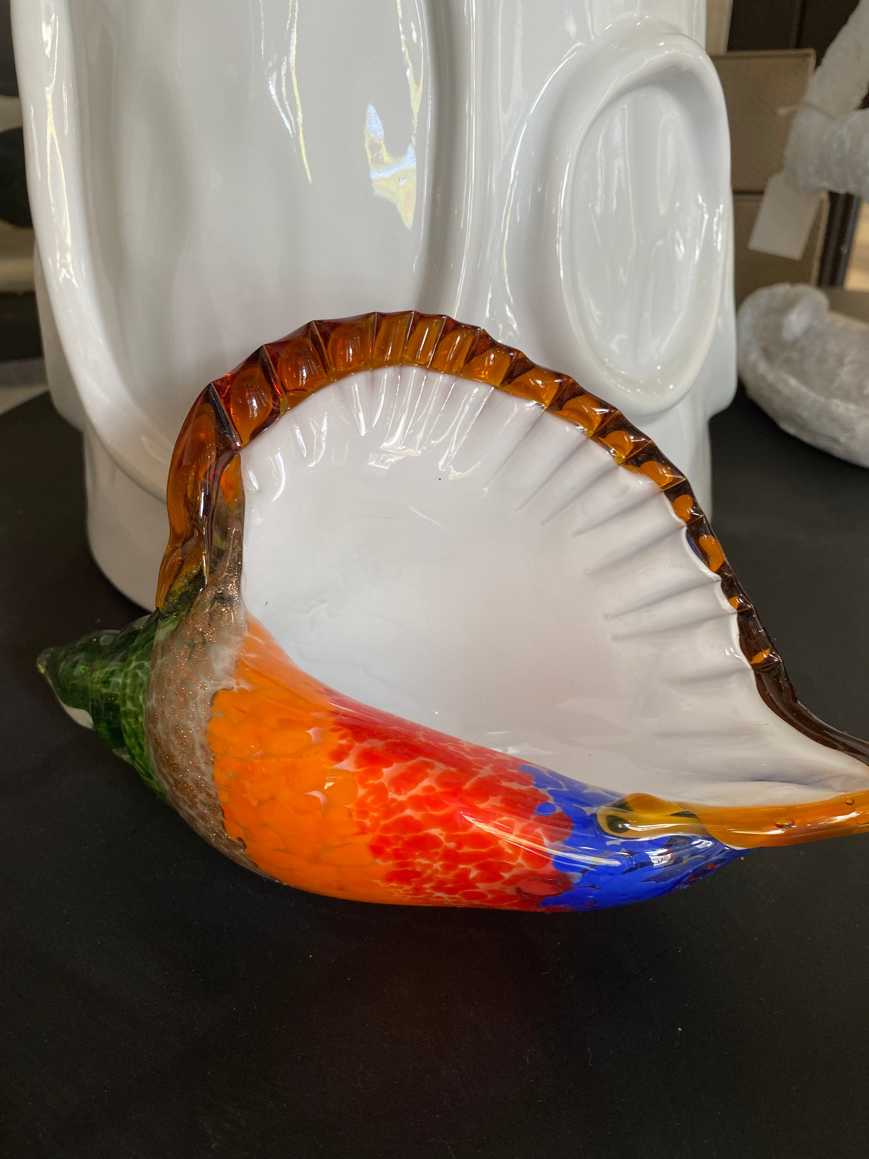 Rainbow Shell