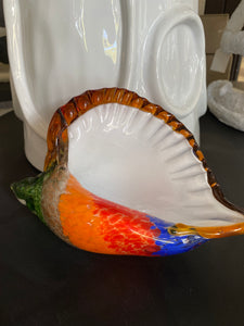 Rainbow Shell