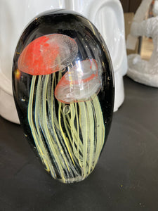 Jellyfish