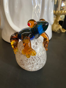 Glass frog on pebble