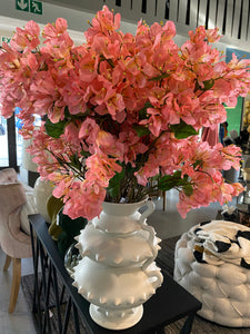 Pink bougainvillea flower