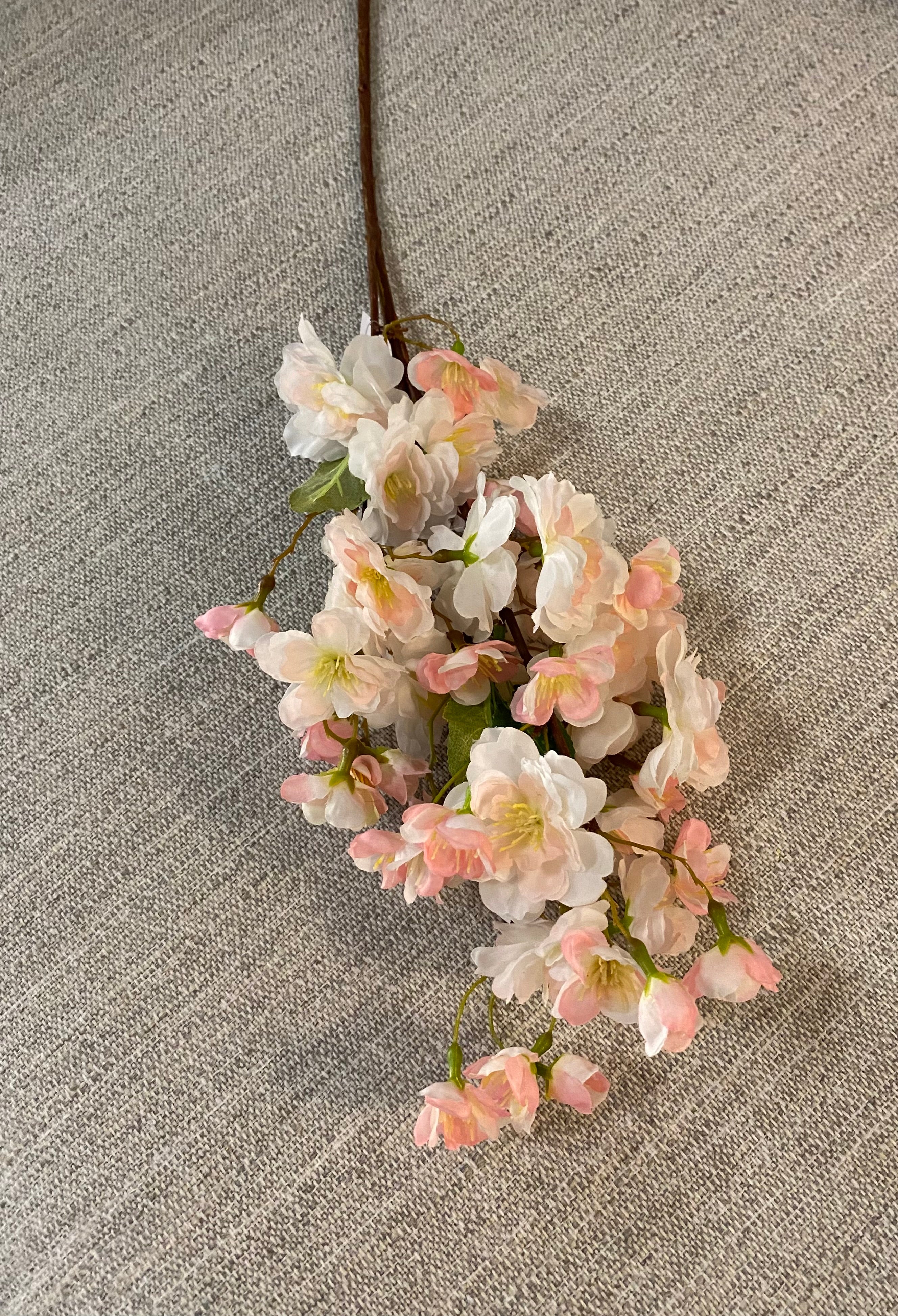 Cherry blossom pink flower