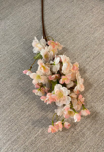 Cherry blossom pink flower