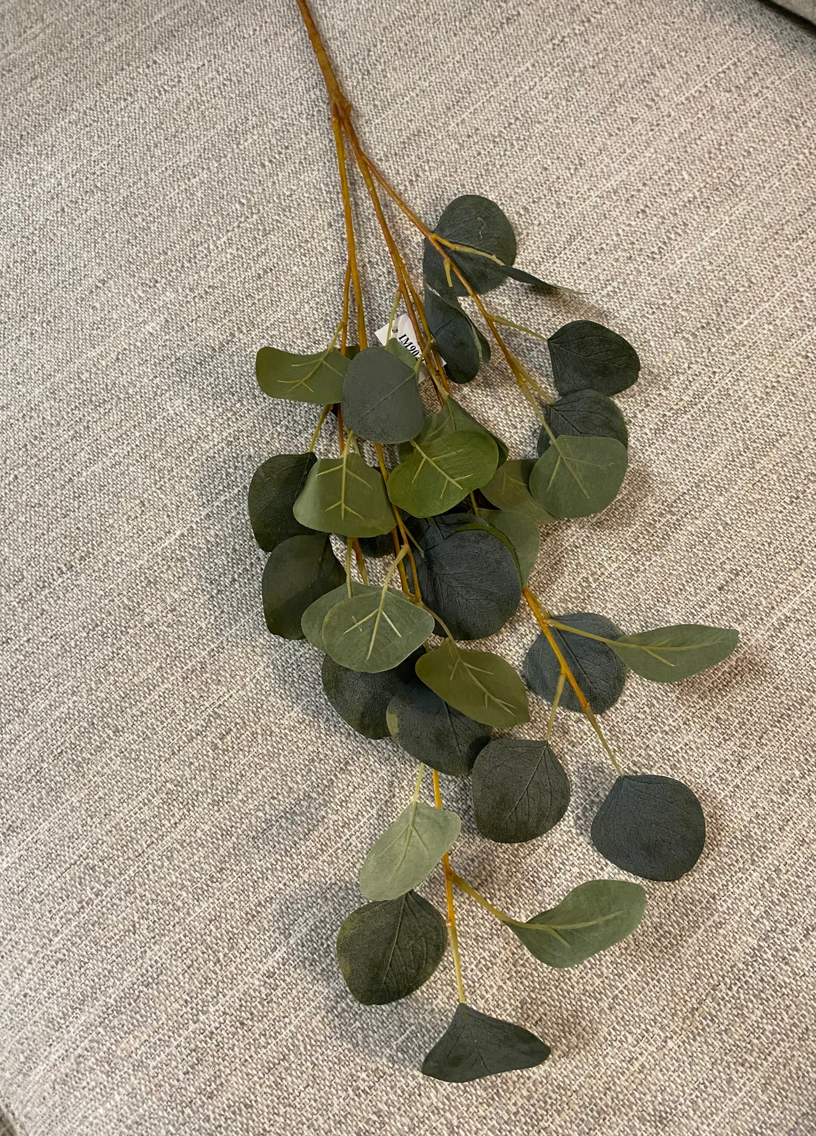 Eucalyptus green