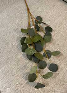 Eucalyptus green