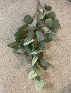 Eucalyptus grey-green