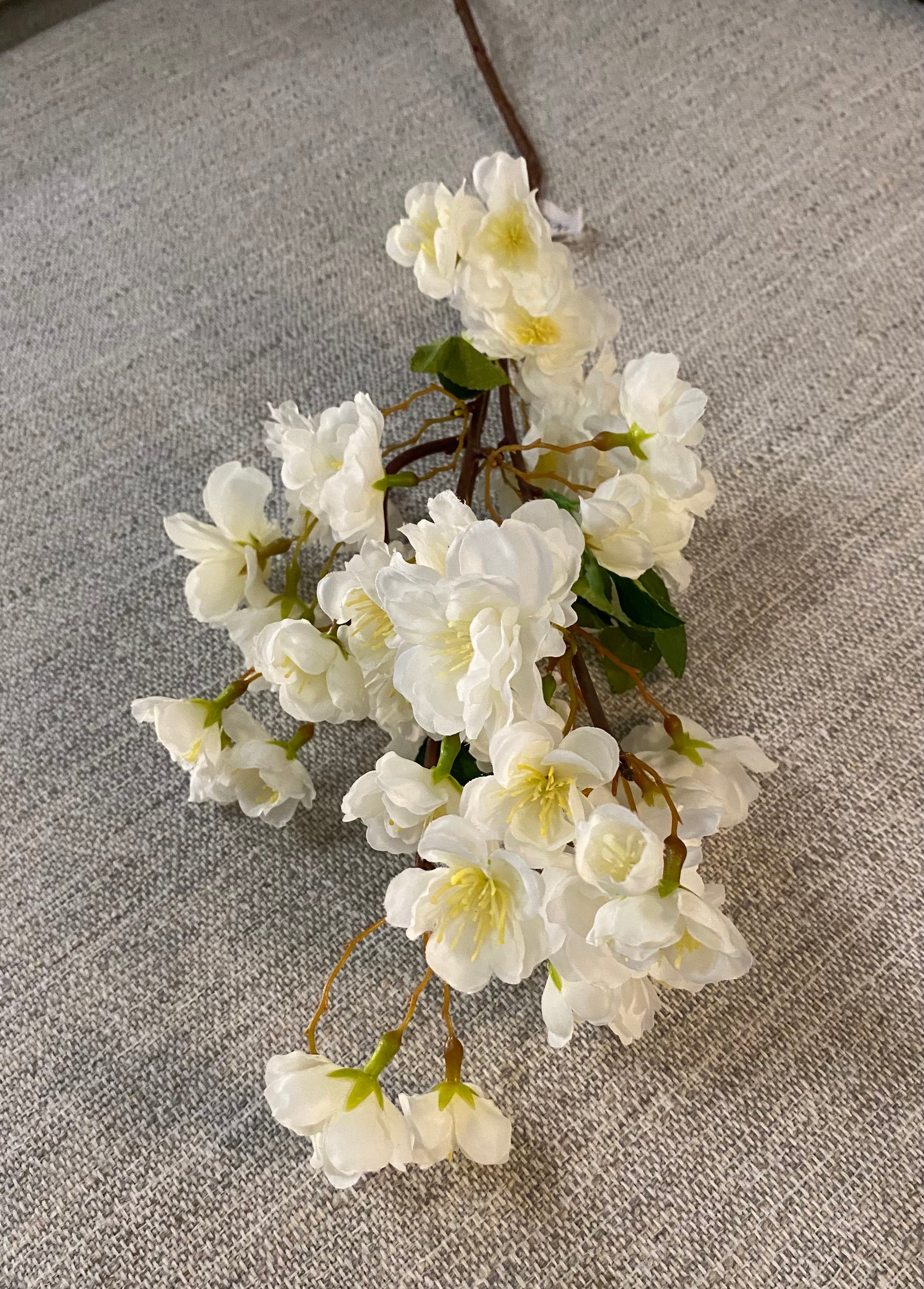Cherry blossom white flower